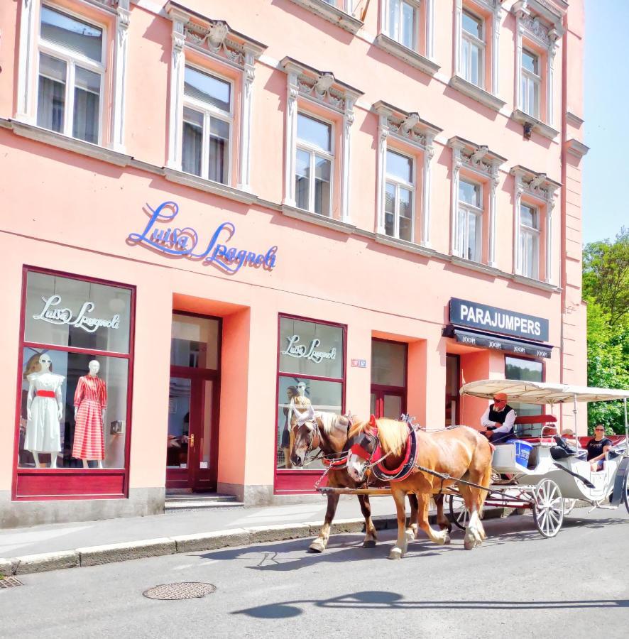 Karlsbad Family Apartment Bagian luar foto